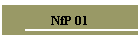 NfP 01